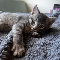 Photo of Tim