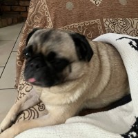 Photo of Lara