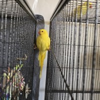 Photo of Bananoah & Rowan