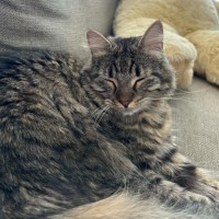 Photo of Prue