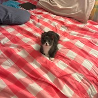 Photo of Dot & Dennis