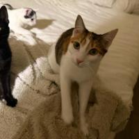 Photo of Finlay & Isla