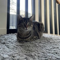 Photo of Suzie   Located In Macleod