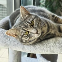 Photo of Ava   In Foster Care In Melbourne