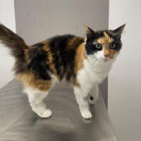 Photo of Jemima   In Foster Care In Ashburton