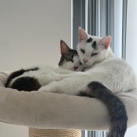 Photo of Layla & Lulu