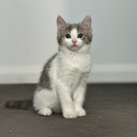 Photo of Kiara 🌺🌺🌺