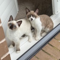 Photo of Queen Carmen And Dylan Penrose 