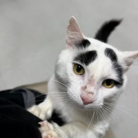 Photo of 🍭 Cleveland 6617 🍭