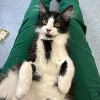 Photo of Marv   Located In Kew