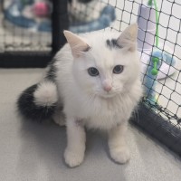 Photo of 🍨 Souffle 5807 🍨