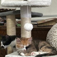 Photo of Leeloo