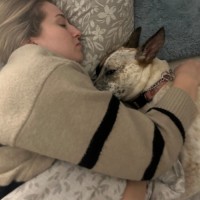 Photo of 🌶️ Chilli Heeler 🌶️