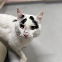 Photo of 🍭 Cleveland 6617 🍭