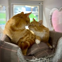 Photo of Zara And Leo