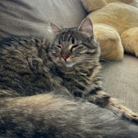 Photo of Prue