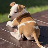 Photo of Rosie
