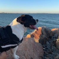 Photo of Dabby 