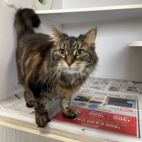 Photo of Trudy
