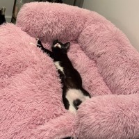 Photo of Beanie