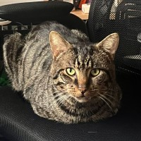Photo of Bruce