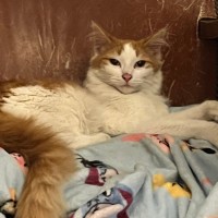 Photo of Murphy