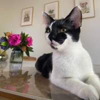 Photo of Harry