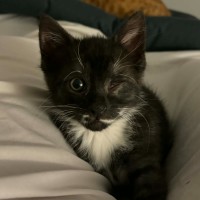 Photo of Robbie 😉