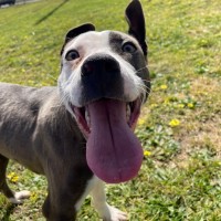 Photo of Dora