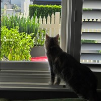 Photo of Sammi 🐾