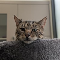 Photo of Jeremy Wade