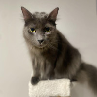 Photo of 💙 Blu 💙