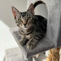 Photo of Liza   Located In Armadale