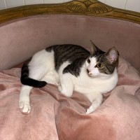 Photo of Esmeralda
