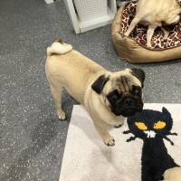 Photo of Bruce