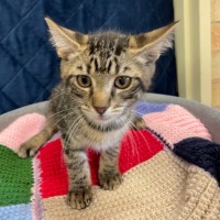 Photo of Marlowe