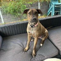Photo of Lucy