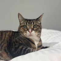 Photo of Mittens