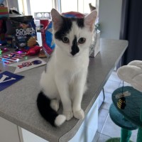 Photo of Skittles 🌈