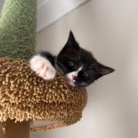 Photo of Peppermint Patty