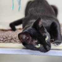 Photo of 🥚 Benedict 5765 🥚