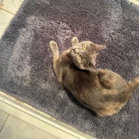 Photo of Chloe