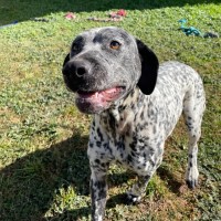 Photo of Bonnie