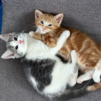 Photo of Kiara 🌺🌺🌺