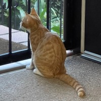 Photo of Jethro