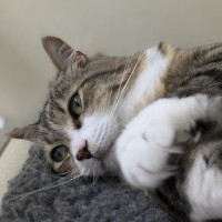 Photo of 🪀 James (Jimmy) 5740 🪀