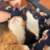 Photo of Haku And Amica