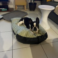 Photo of George