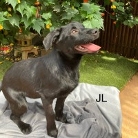 Photo of Jerry Lewis