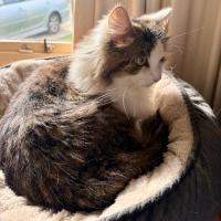 Photo of Bonita